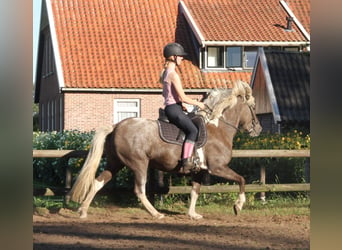 ROSA VOM BABENBERG