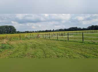 Reitanlage bei Hamburg mit 25ha Eigengrund