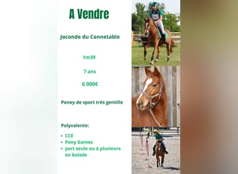 Joconde du connetable