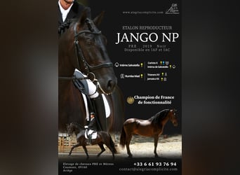 JANGO NP