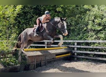 Kippagh Choice: beautiful, confidence giver