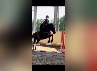 75045 Reiterin sucht Reitbeteiligung
