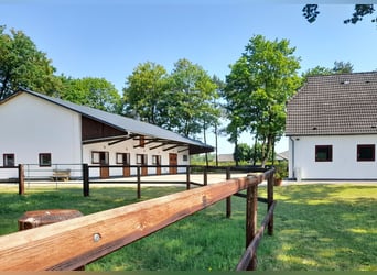 Pensionsboxen / Rehaplätze auf kleiner Anlage mit Reithalle 