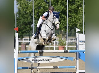 AES, Ruin, 10 Jaar, 182 cm, Schimmel