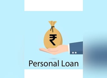 Altmärkisches Kaltblut, Klacz, 14 lat, Formy Brown Falb