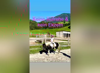 Altri pony/cavalli di piccola taglia Mix, Giumenta, 8 Anni, 110 cm, Pezzato