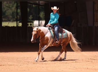 American Paint Horse, Mare, 7 years, Palomino