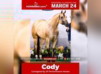 American Quarter Horse, Castrone, 4 Anni, 170 cm, Pelle di daino