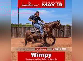 American Quarter Horse, Gelding, 3 years, Chestnut