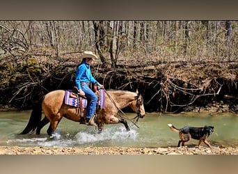 American Quarter Horse, Giumenta, 10 Anni, 142 cm, Pelle di daino