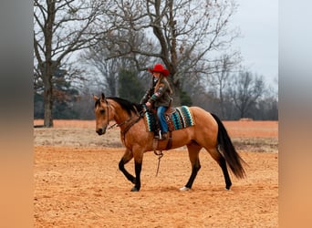 American Quarter Horse, Giumenta, 14 Anni, 152 cm, Pelle di daino