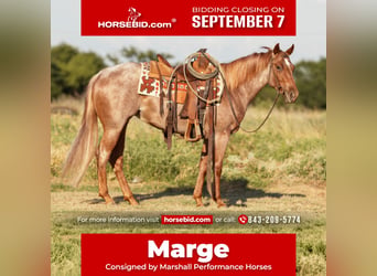 American Quarter Horse, Giumenta, 3 Anni, Roano rosso