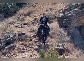 American Quarter Horse, Klacz, 12 lat, 137 cm, Gniada
