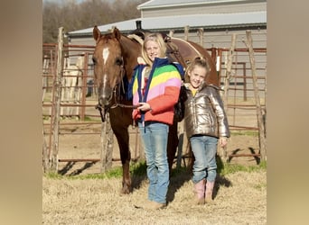 American Quarter Horse, Klacz, 12 lat, 142 cm, Bułana