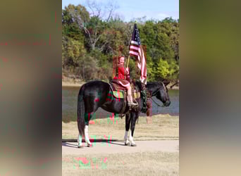 American Quarter Horse, Klacz, 13 lat, 150 cm, Kara