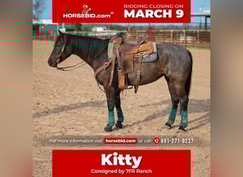 American Quarter Horse, Klacz, 4 lat, 145 cm, Kara