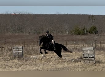 American Quarter Horse, Klacz, 9 lat, 163 cm, Kara