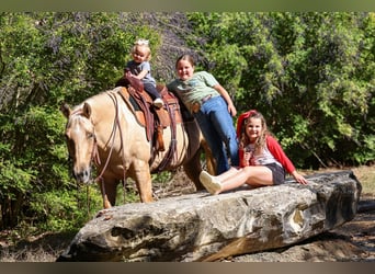 American Quarter Horse, Mare, 10 years, 15,2 hh, Palomino