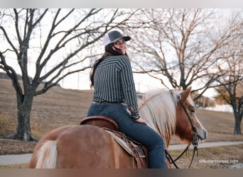 American Quarter Horse, Mare, 10 years, Sorrel