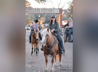 American Quarter Horse, Mare, 10 years, Sorrel