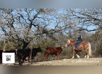 American Quarter Horse, Mare, 10 years, Sorrel