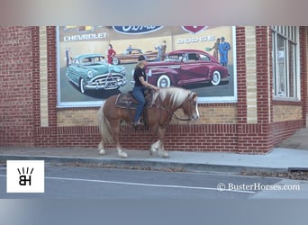 American Quarter Horse, Mare, 10 years, Sorrel