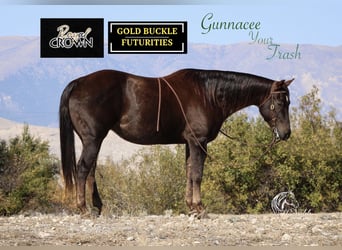 American Quarter Horse, Mare, 12 years, 15 hh, Chestnut