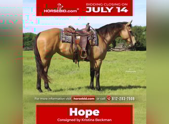 American Quarter Horse, Mare, 13 years, 14,2 hh, Buckskin
