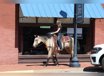 American Quarter Horse, Mare, 15 years, Buckskin