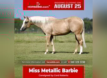 American Quarter Horse, Mare, 4 years, 14,3 hh, Palomino