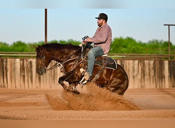 American Quarter Horse, Mare, 4 years, 15.1 hh, Sorrel