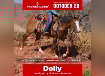 American Quarter Horse, Mare, 4 years, 15 hh, Dun