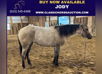 American Quarter Horse, Mare, 4 years, 15 hh, Dun