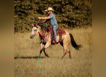 American Quarter Horse, Mare, 4 years, 15,2 hh, Buckskin