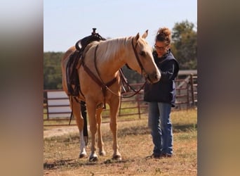 American Quarter Horse, Mare, 5 years, 14,2 hh, Palomino