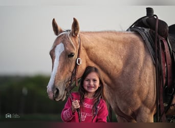 American Quarter Horse, Mare, 5 years, 14 hh, Palomino