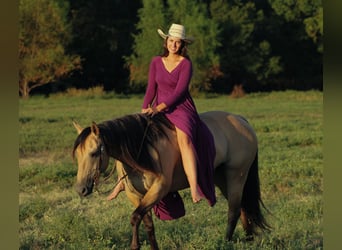 American Quarter Horse, Mare, 5 years, 15 hh, Buckskin