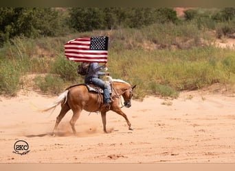 American Quarter Horse, Mare, 6 years, 15,1 hh, Palomino