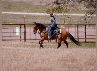 American Quarter Horse, Mare, 7 years, Dun
