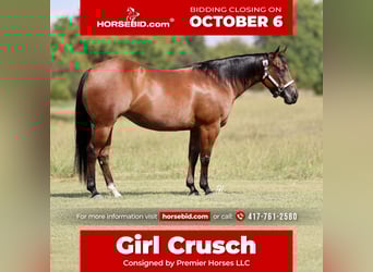 American Quarter Horse, Mare, 8 years, 14,2 hh, Bay