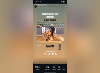 American Quarter Horse, Mare, 8 years, 15,2 hh, Palomino