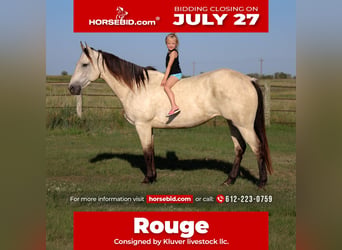 American Quarter Horse, Mare, 8 years, Sorrel