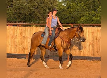 American Quarter Horse, Mare, 9 years, 15 hh, Buckskin