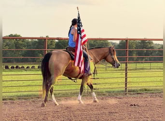 American Quarter Horse, Mare, 9 years, 15 hh, Buckskin