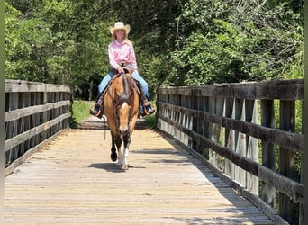 American Quarter Horse, Mare, 9 years, 15 hh, Buckskin