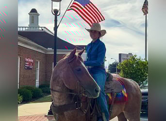American Quarter Horse, Mare, 9 years, Roan-Red