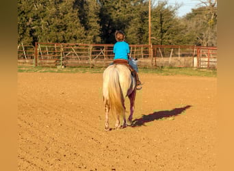 American Quarter Horse, Merrie, 14 Jaar, 122 cm, Bruin