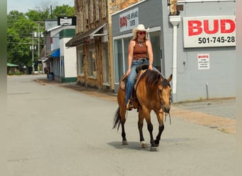 American Quarter Horse, Merrie, 4 Jaar, Buckskin