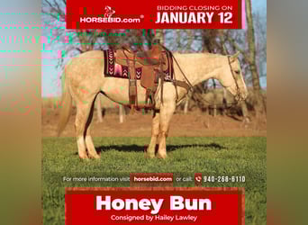 American Quarter Horse, Merrie, 5 Jaar, 150 cm, Palomino