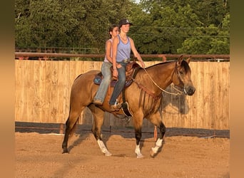 American Quarter Horse, Merrie, 9 Jaar, 152 cm, Buckskin